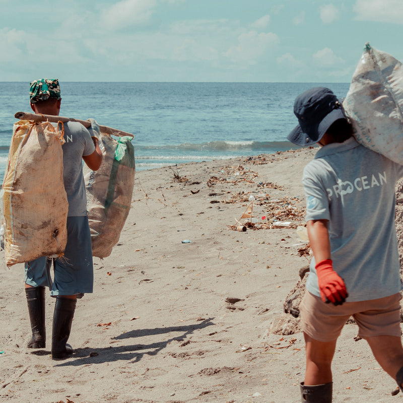 ocean clean up