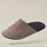 Gästehausschuhe Filz